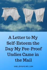 leak proof undies